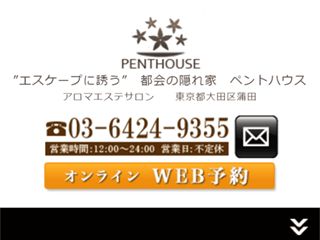Penthouse ～ペントハウス～