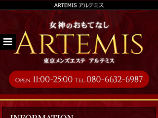 ARTEMIS ～アルテミス～