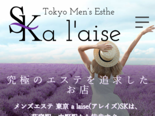 a laise ～アレイズSK 中野ルーム