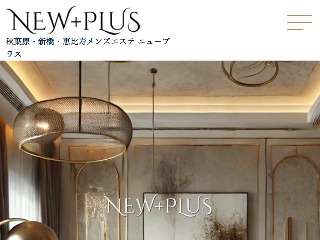 NEW+PLUS ～ニュープラス～ 新橋ルーム