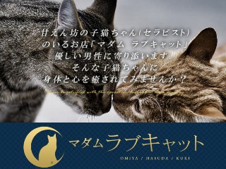 マダムラブキャット