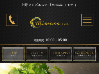 Mimosa ～ミモザ～ 上野ルーム