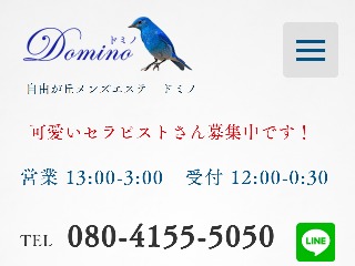 Domino ～ドミノ～