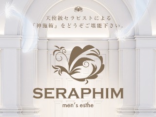 SERAPHIM ～セラフィム～