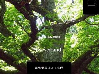 大人のNEVERLAND ～大人のネバーランド～