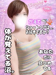 セラドルコレクション 