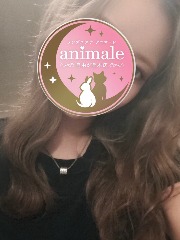 アニマーレ 